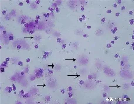 焰色反应实验报告简单,显色反应化学实验高中