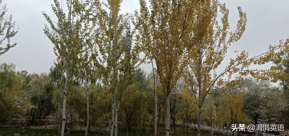 英语词组固定搭配讲解合集,英语短语固定搭配背诵