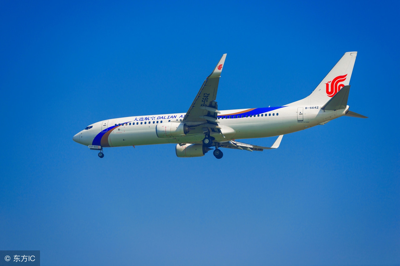 美国游学记我的感悟,美国游学感受大全