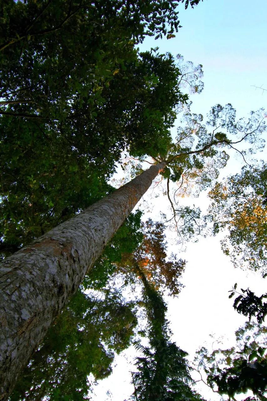 每个人心中都有一个西双版纳,西双版纳最吸引你的是什么