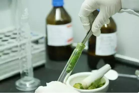 卡萨帝bcd-551wdgmu1是嵌入式冰箱吗,卡萨帝bcd-551wdcpu1使用说明