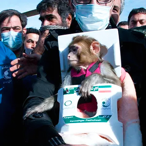 土耳其要上天，谁也别拦着|地球知识局