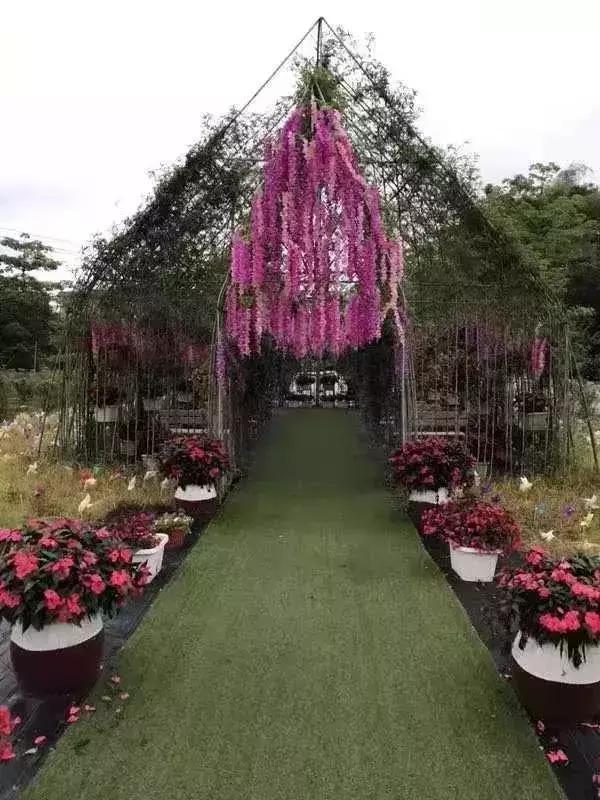 清远七天玩乐,清远一日游最佳景点一览表最新