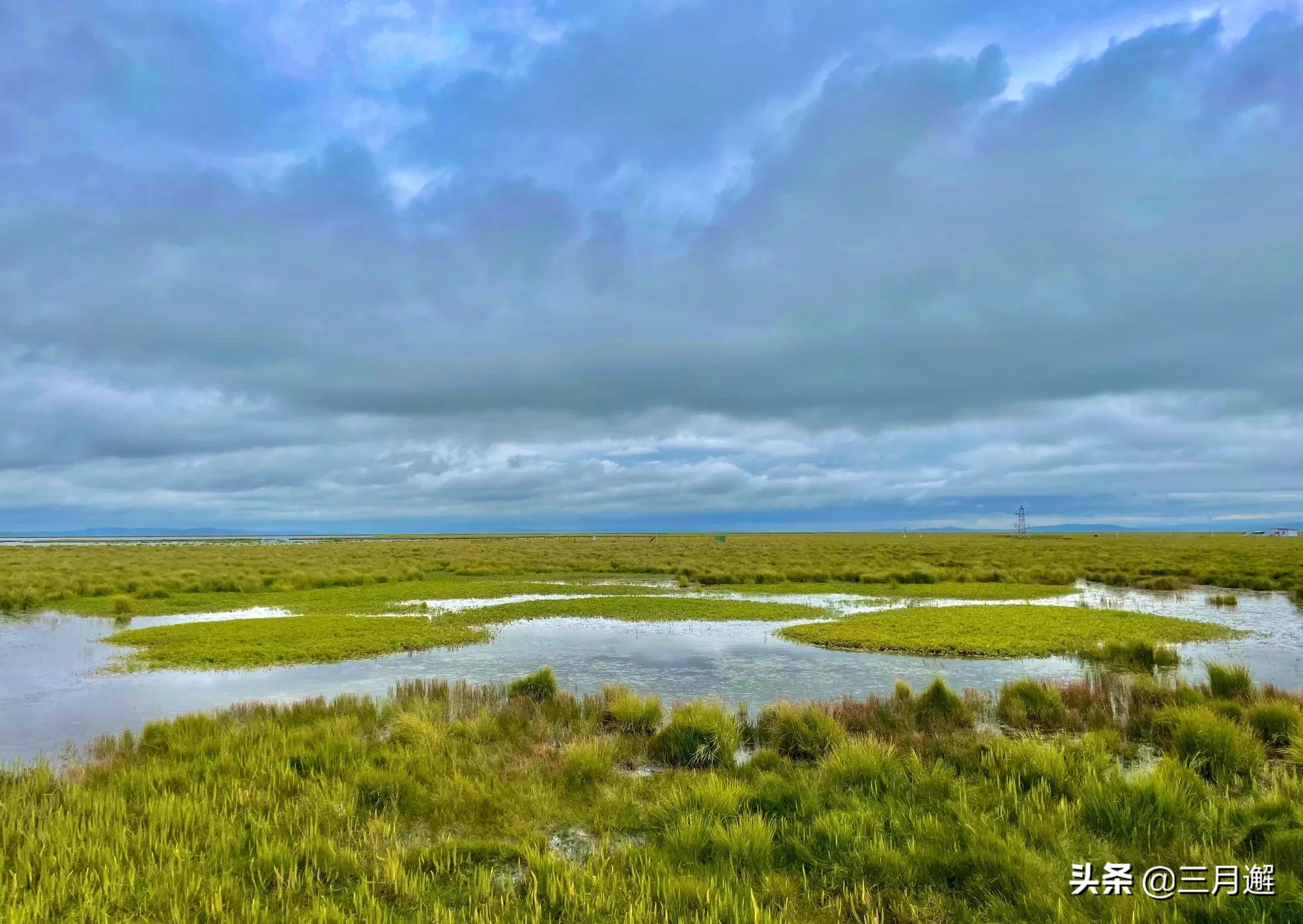 下雨天的若尔盖能去吗,阴雨天的若尔盖花湖