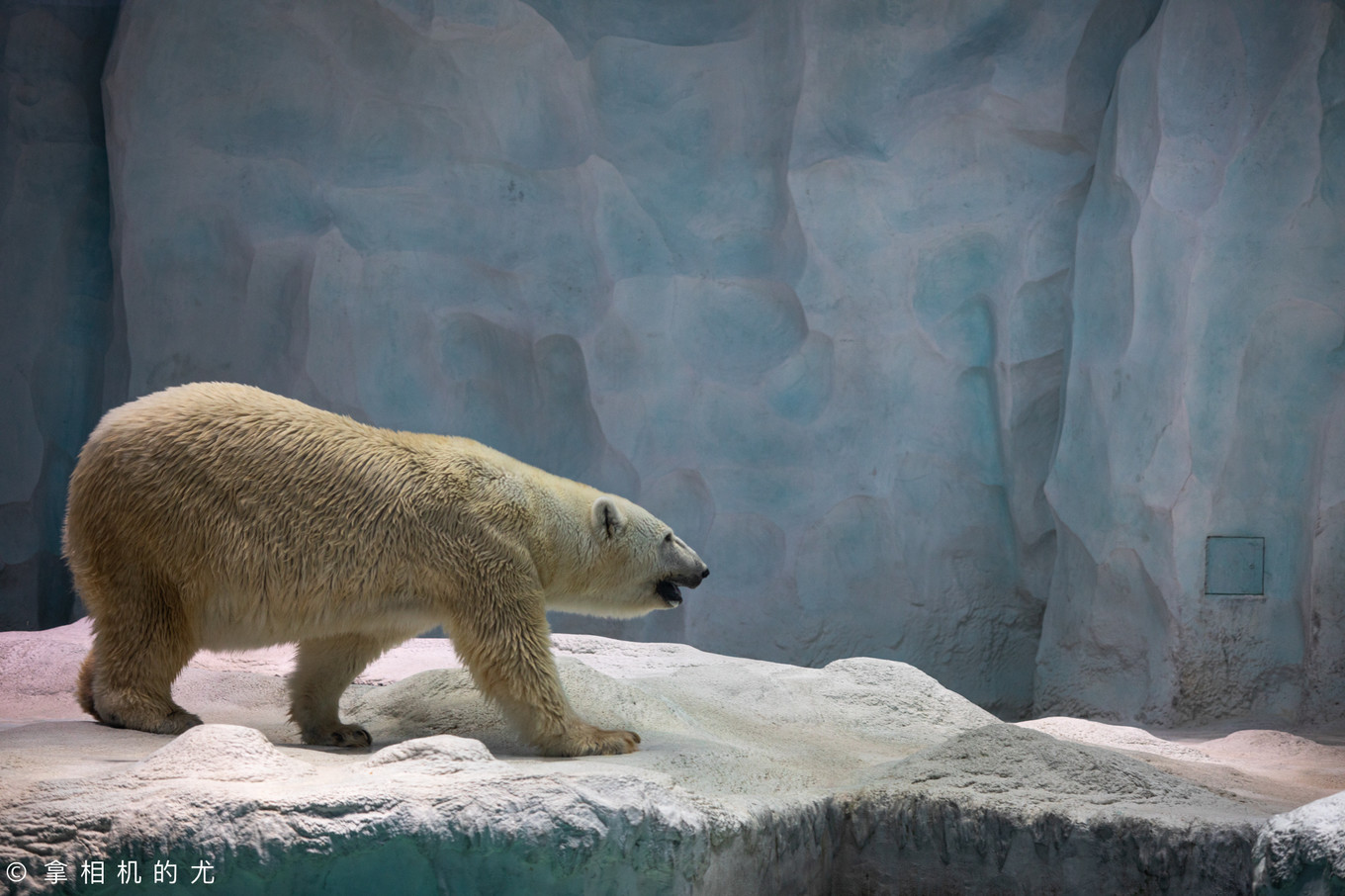 珠海横琴长隆海洋王国游玩全攻略,珠海长隆海洋王国跟香港海洋公园