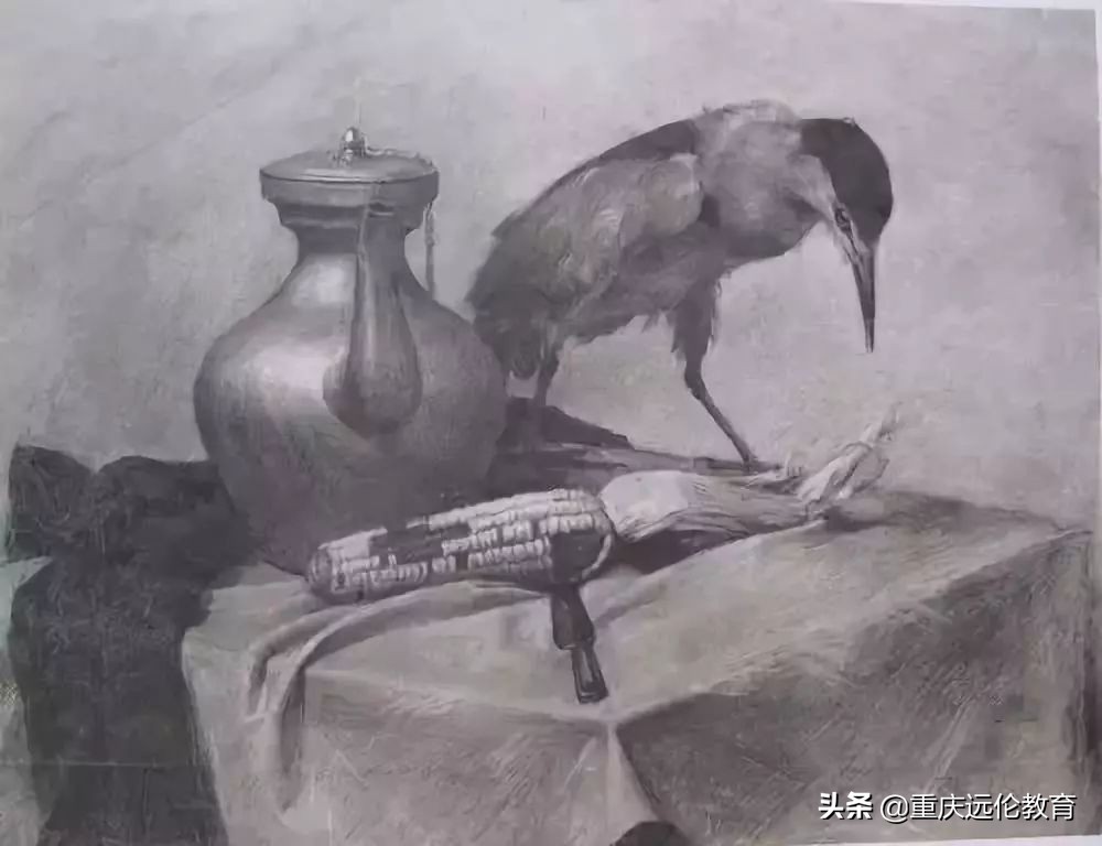 中央美术学院素描静物高分卷,中央美术学院素描精品视频