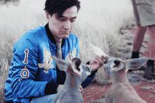 澳洲零食推荐之麦片篇,澳洲大牌零食