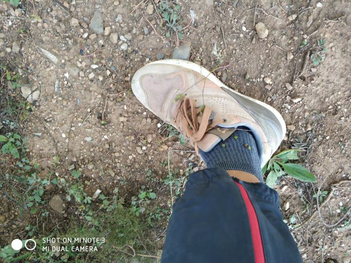 大连长兴岛长城,大连长城4s店