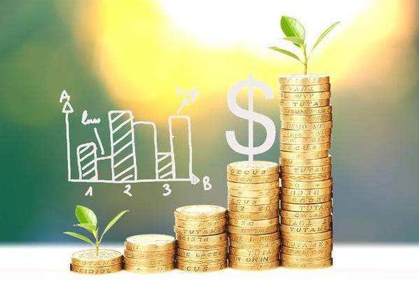 上市公司投资结构分析,投资公司后期分红模式