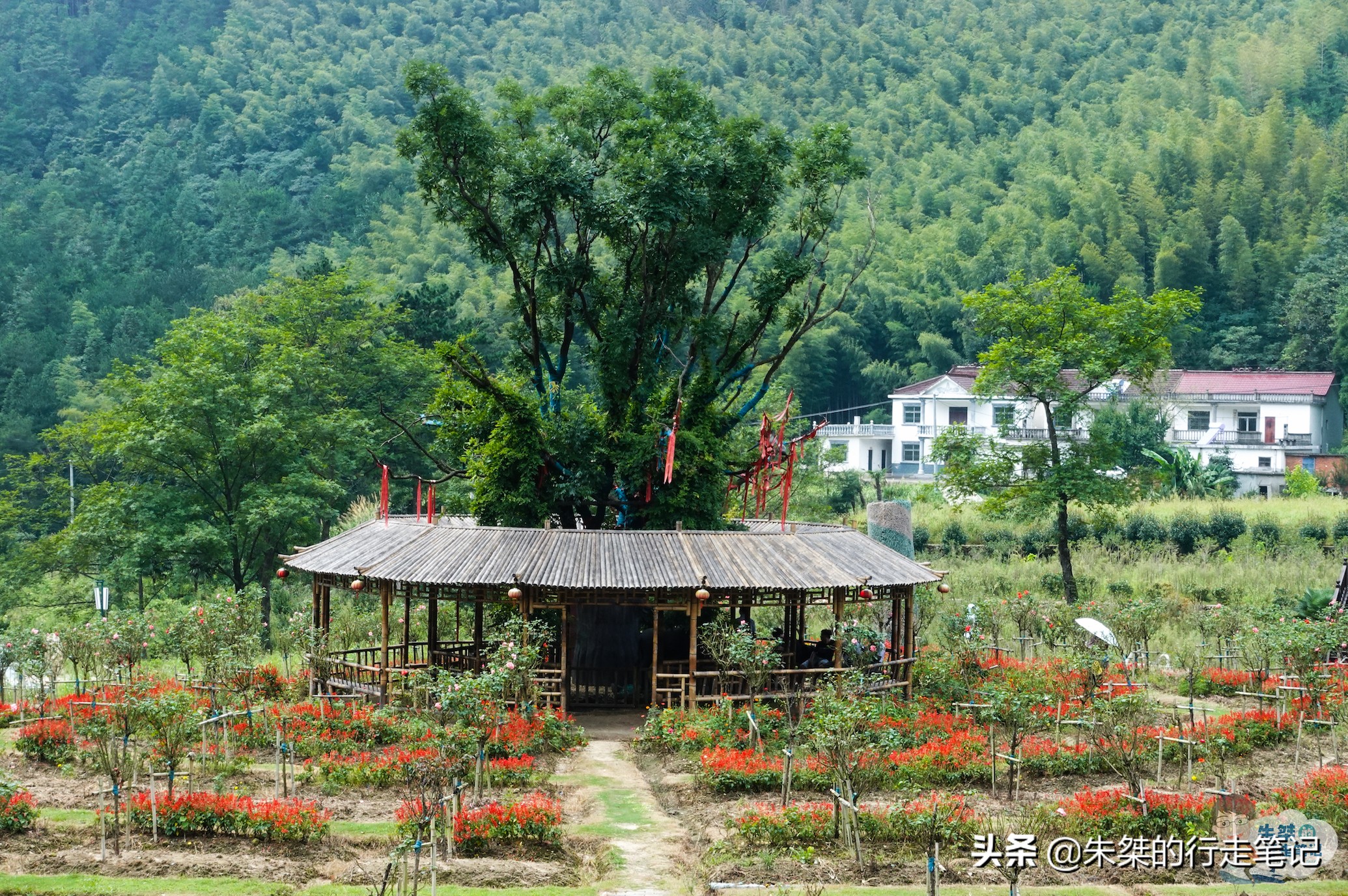 七仙女天柱山风景图片,安徽天柱山天仙峡景区