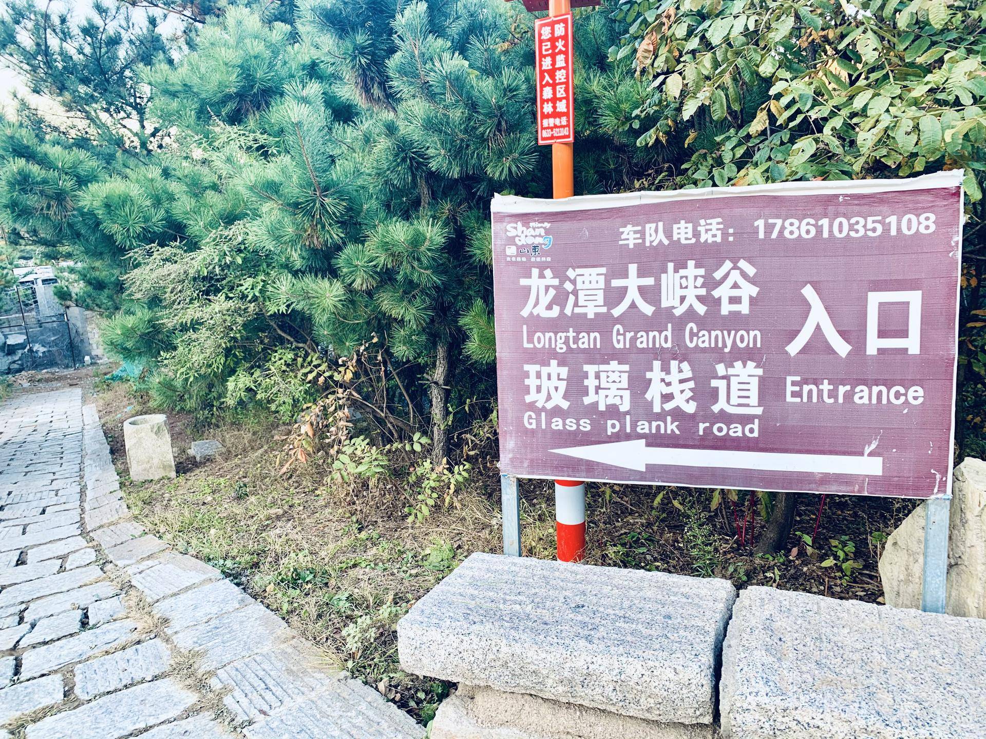 有山有水民宿原生态旅游,有山有水有云民宿名字