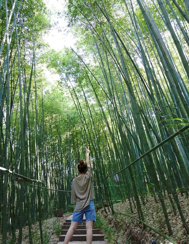 西安秦岭夏季避暑度假的地方,西安避暑首选景点是什么