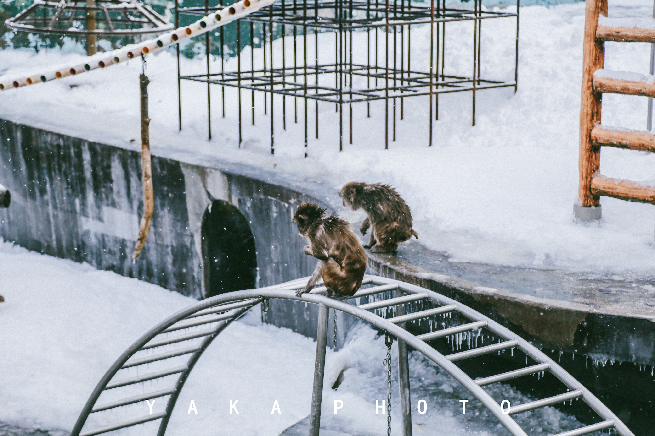 日本北海道旭川到函馆的距离,北海道函馆景点