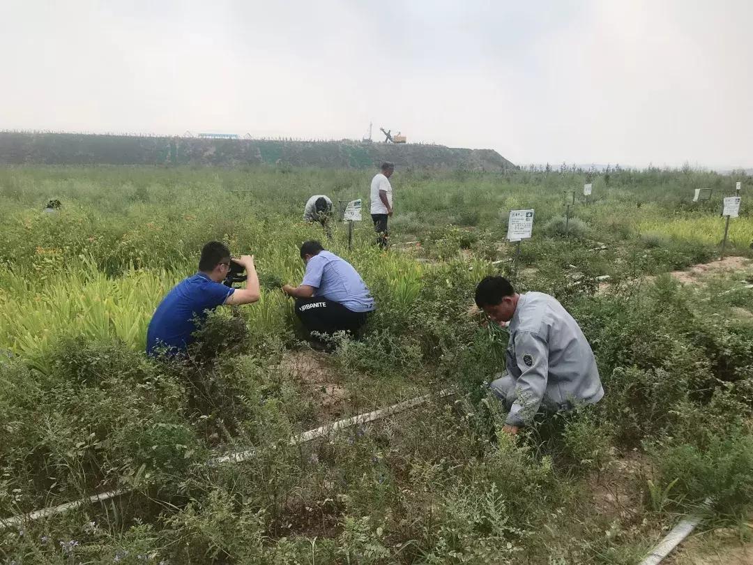 从偏远的小村庄又来到繁华的城市,从穷乡僻壤到人间仙境蝶变