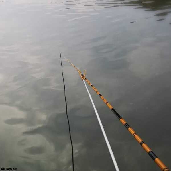 摩羊工坊测评,摩羊工坊怎么样