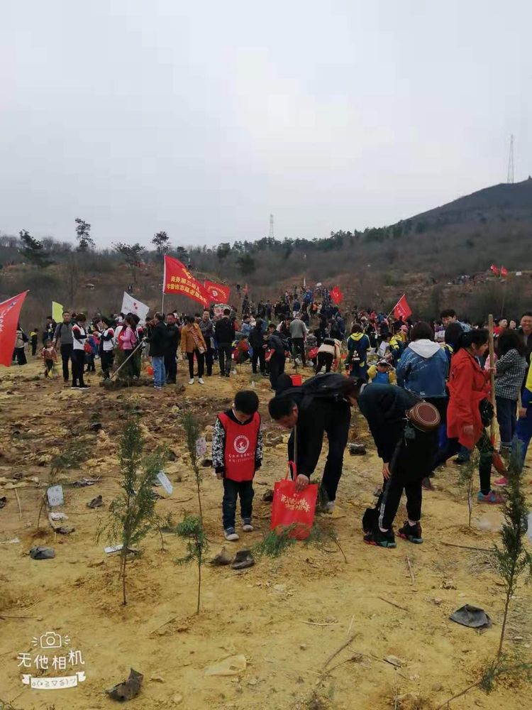 襄阳幼儿园智慧树,襄阳东方国际幼儿园直播