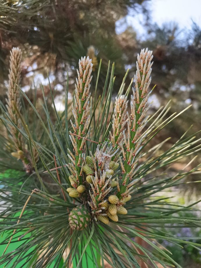 吃饱了来公园走走,吃饱喝足广场散步