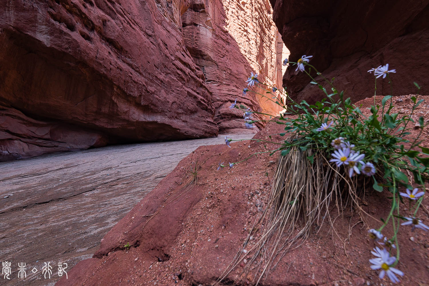 温宿大峡谷和甘肃七彩丹霞,温宿县丹霞大峡谷