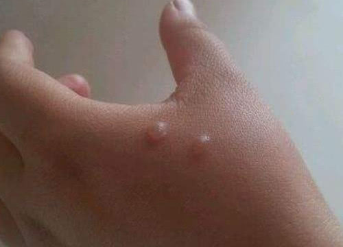 生活小技巧正确的生活方式,生活小技巧太实用了看完受益一生