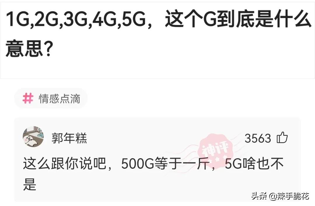 网友：像我这种没穿*裤内**的怎么进去？