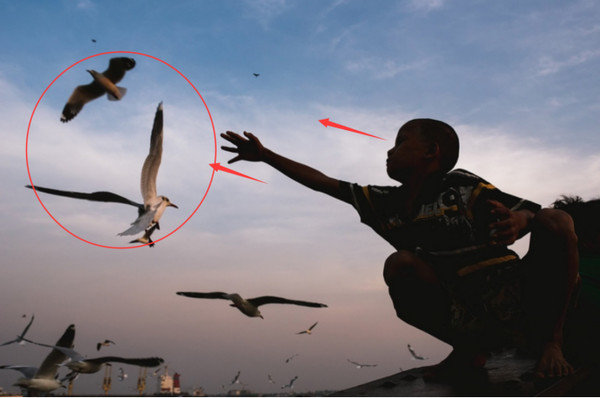 什么是构图共有几种构图方式,拍人像怎么构图