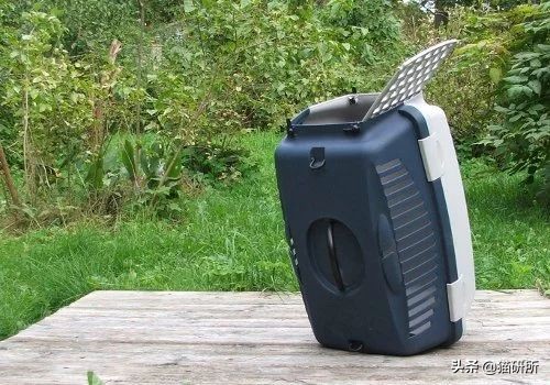 应该如何引导猫咪进航空箱,怎样让猫咪不害怕主人