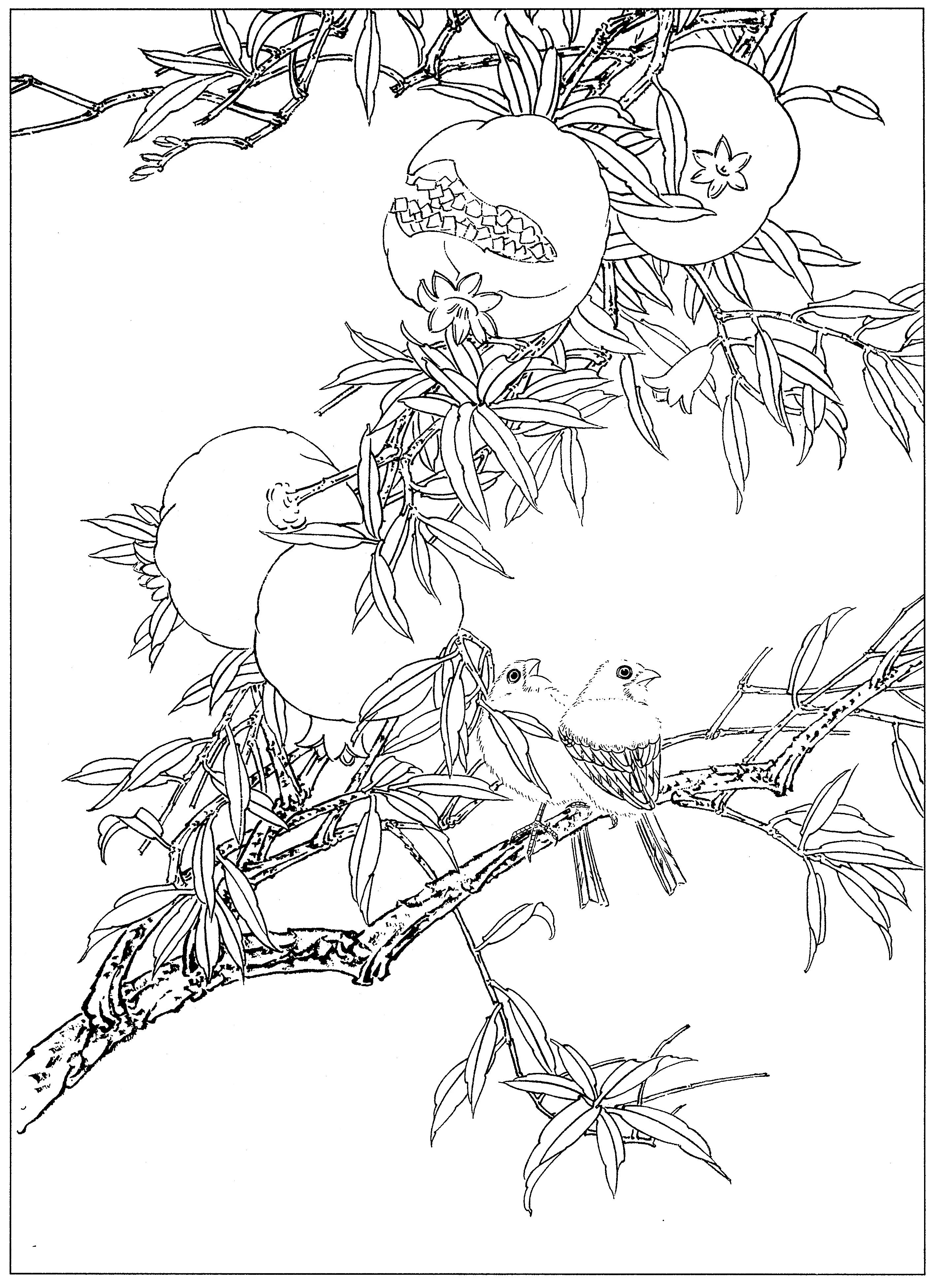 花鸟工笔四条屏白描高清大图,牡丹六尺横幅白描工笔花鸟底稿