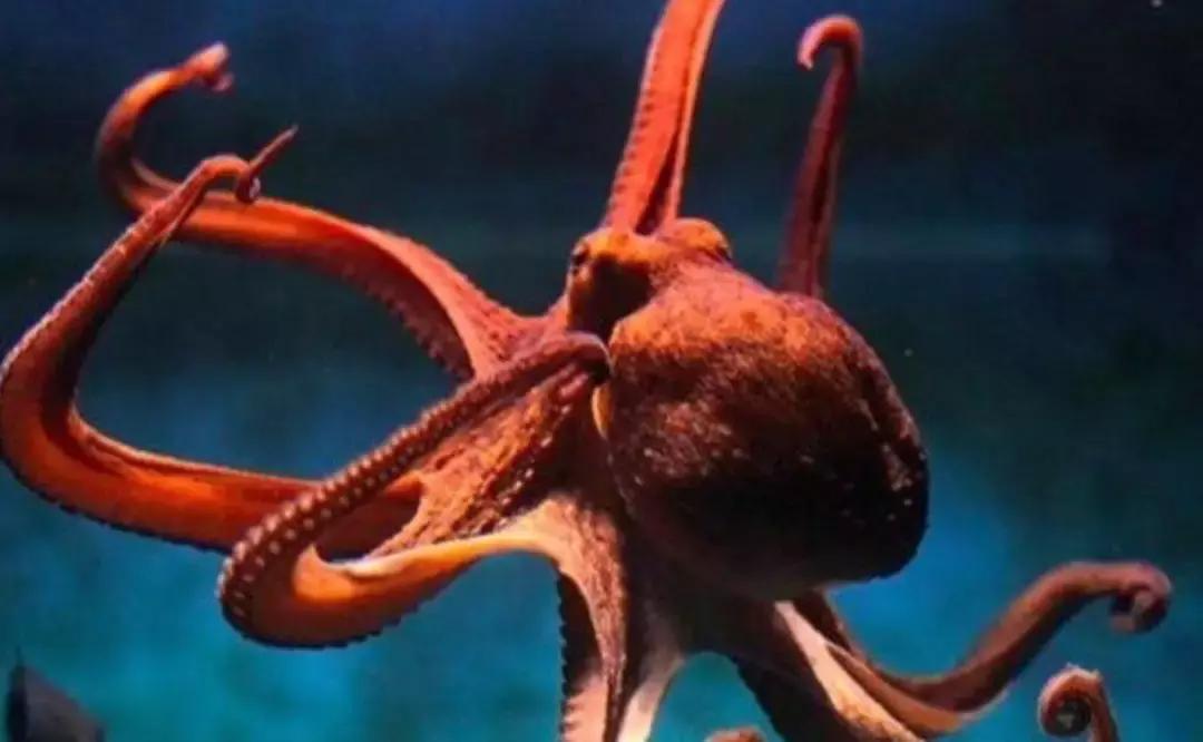 坐拥15座豪宅,50辆豪车,只会用钱哄女人却被绿的悲情影帝