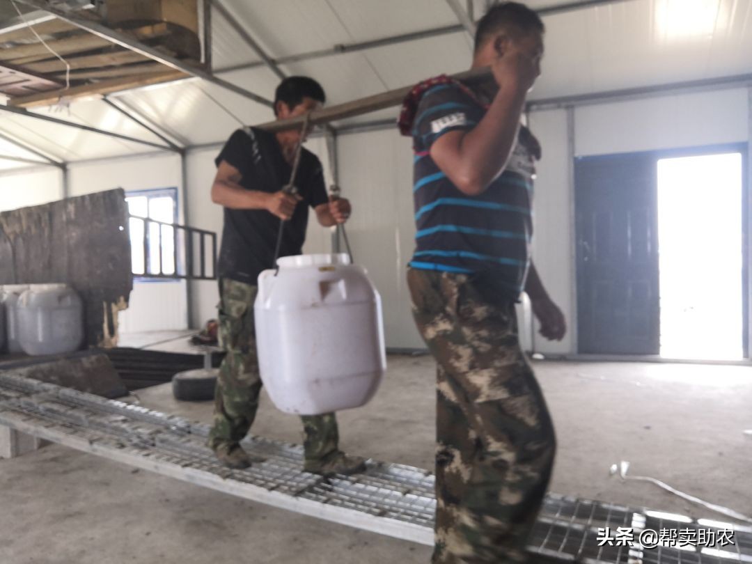 乾隆皇帝宠爱女人,乾隆皇帝宠爱七公主