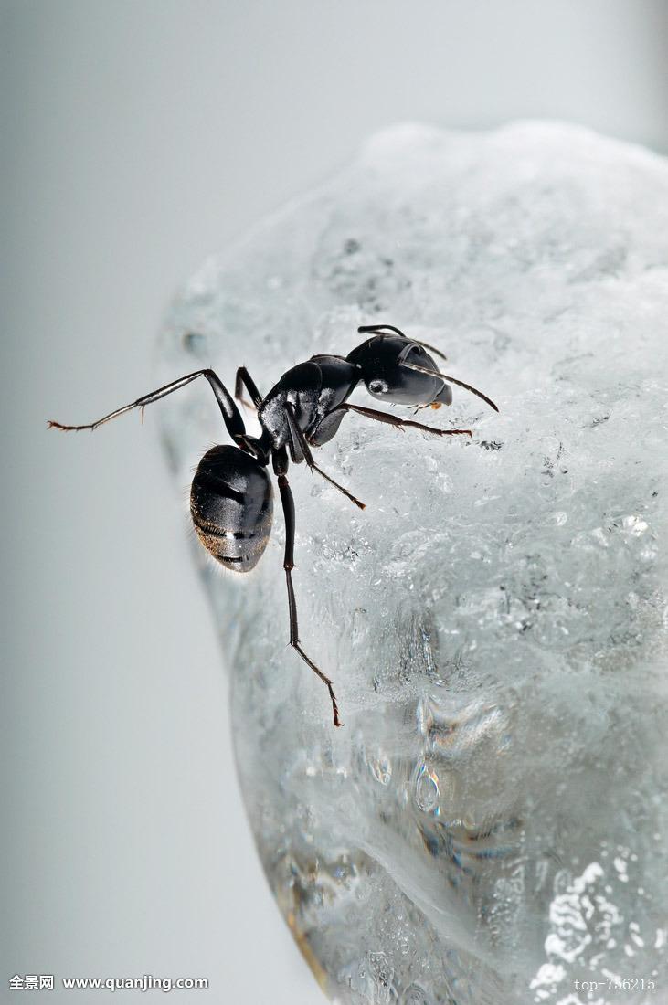 中国文化酒的别称,竟有285个,我又一次孤陋寡闻了