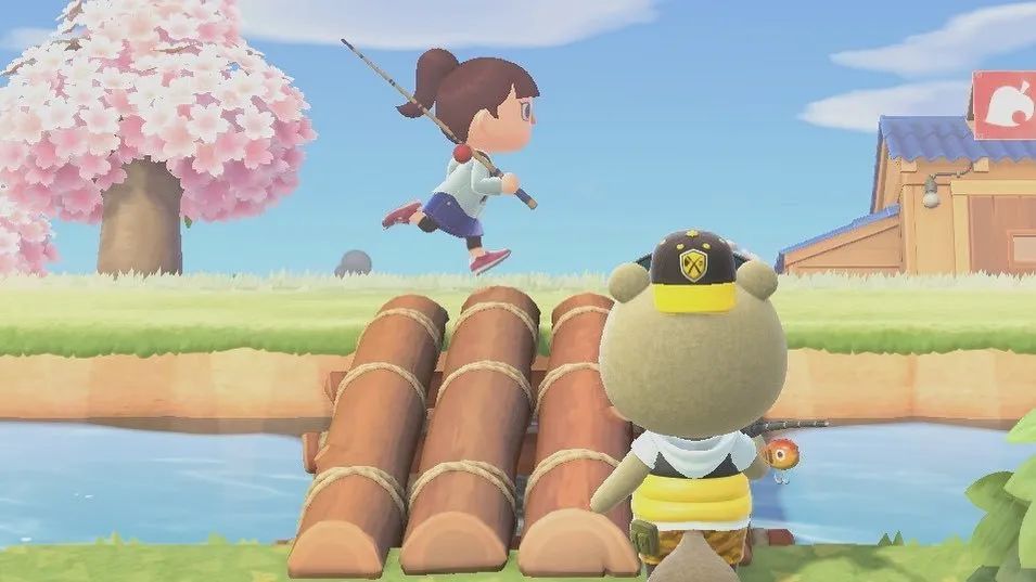 动物之森入门指南,动物之森有哪些注意事项