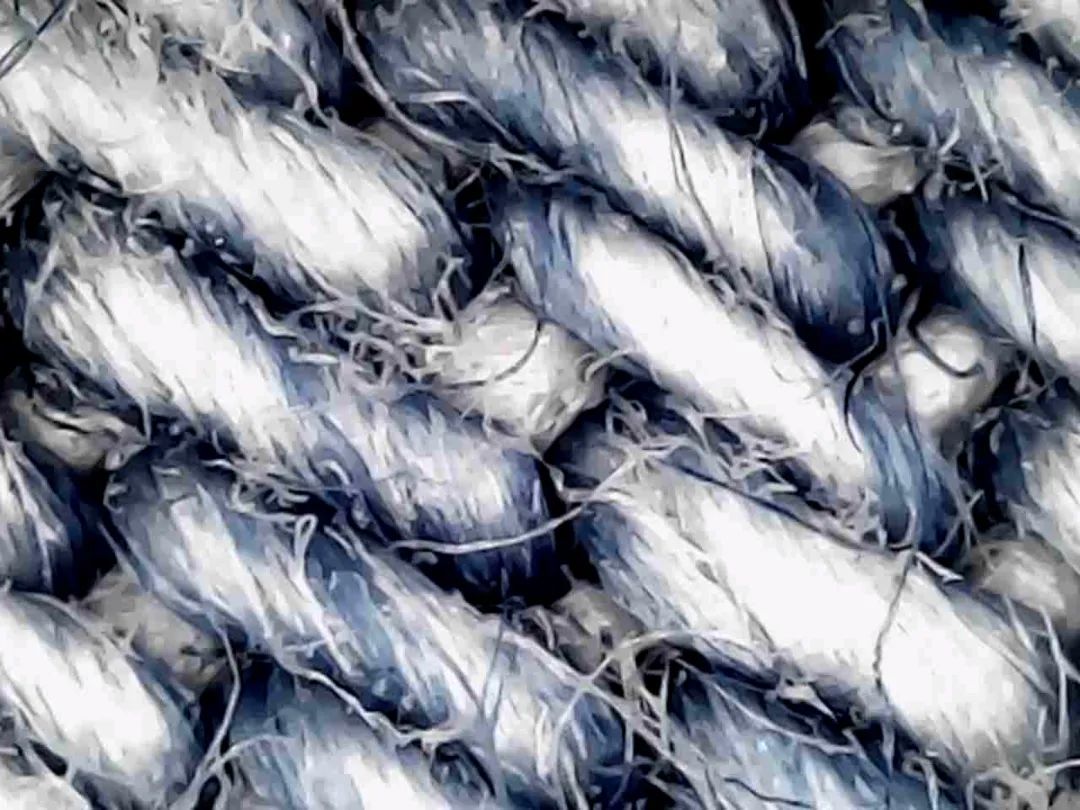 暑假孩子玩手机不如打篮球吧,儿童显微镜放大蚂蚁120倍