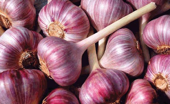 北方吃大蒜正确吃法,北方人爱吃大蒜的原因