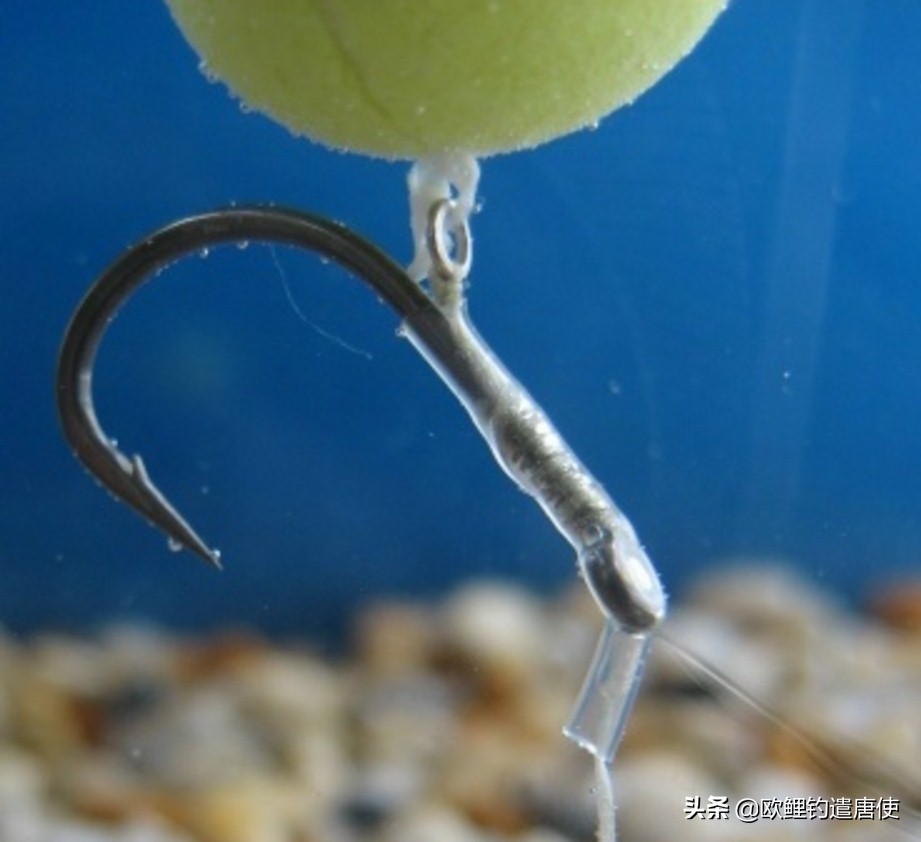 欧鲤钓钓组篇,欧鲤钓组和飞德钓组