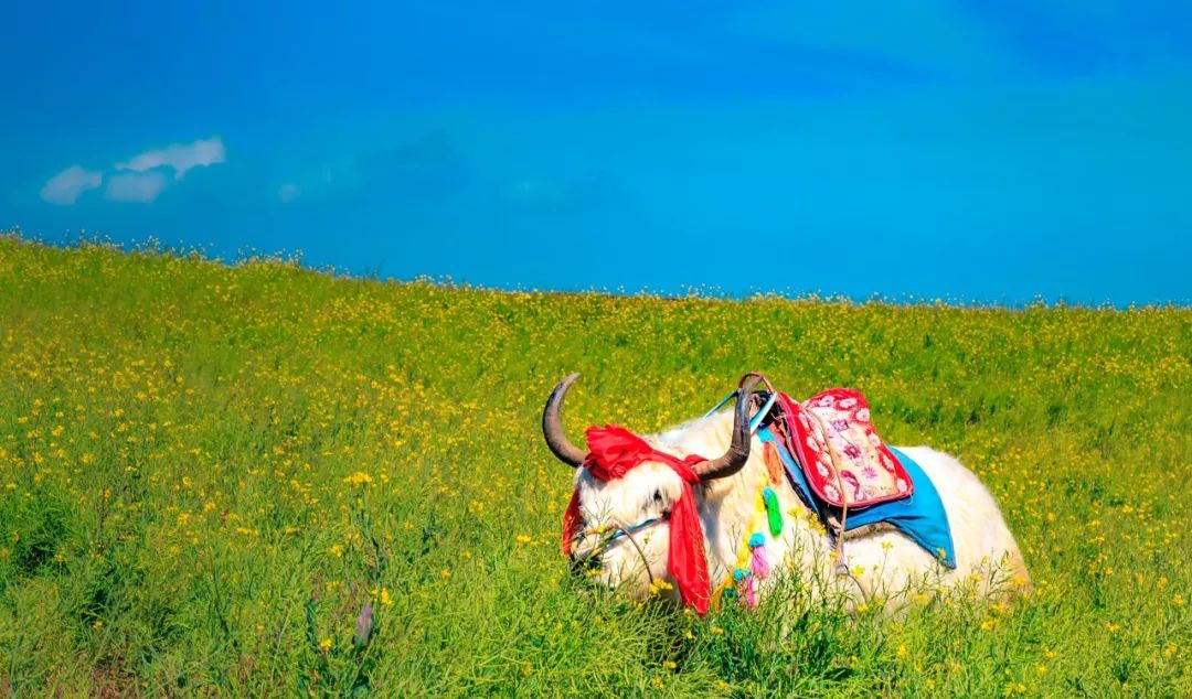 从敦煌坐火车到兰州需要几小时,从兰州到敦煌经过什么地方