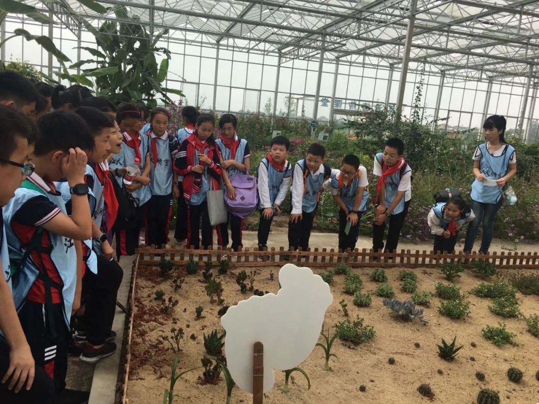 江苏省南通市启东市长江小学,启东长江小学研学