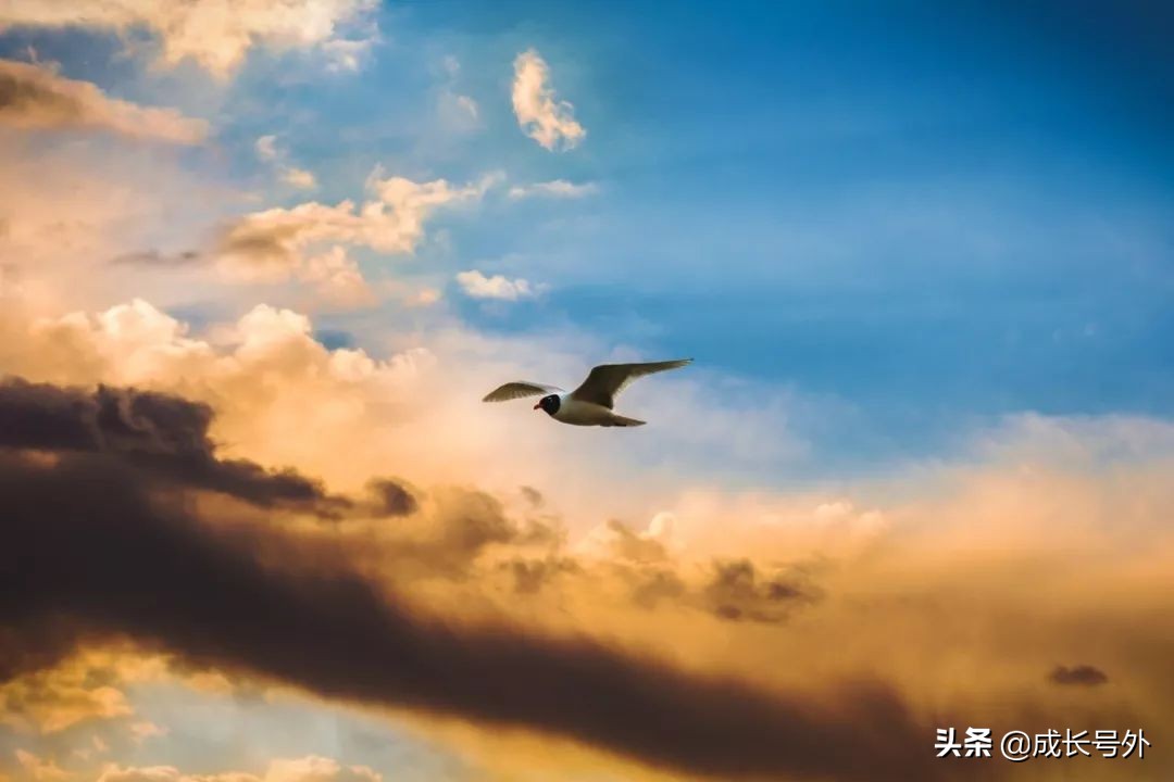 少不看水浒老不看三国动漫,少不看水浒老不看三国原话