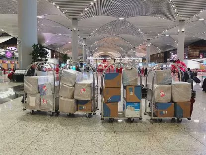 国外买口罩邮寄回国遭统计,从国外买口罩寄回国