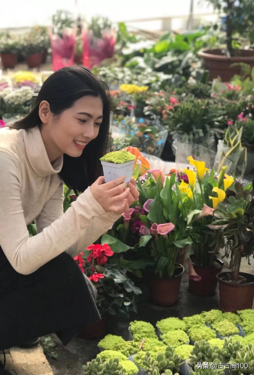 与兰亭对应的书法圣地,兰亭书法纪念馆