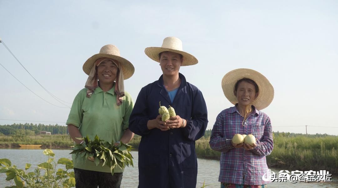 喜报荣获省级称号,喜报获金奖