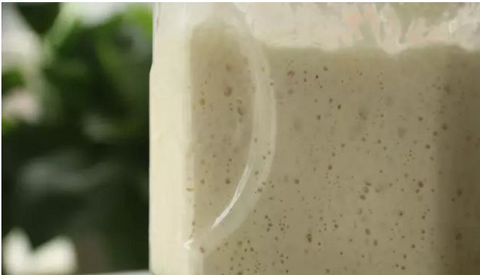 所有的干酵母都适用做面包吗 (什么酵母最适合做面包)