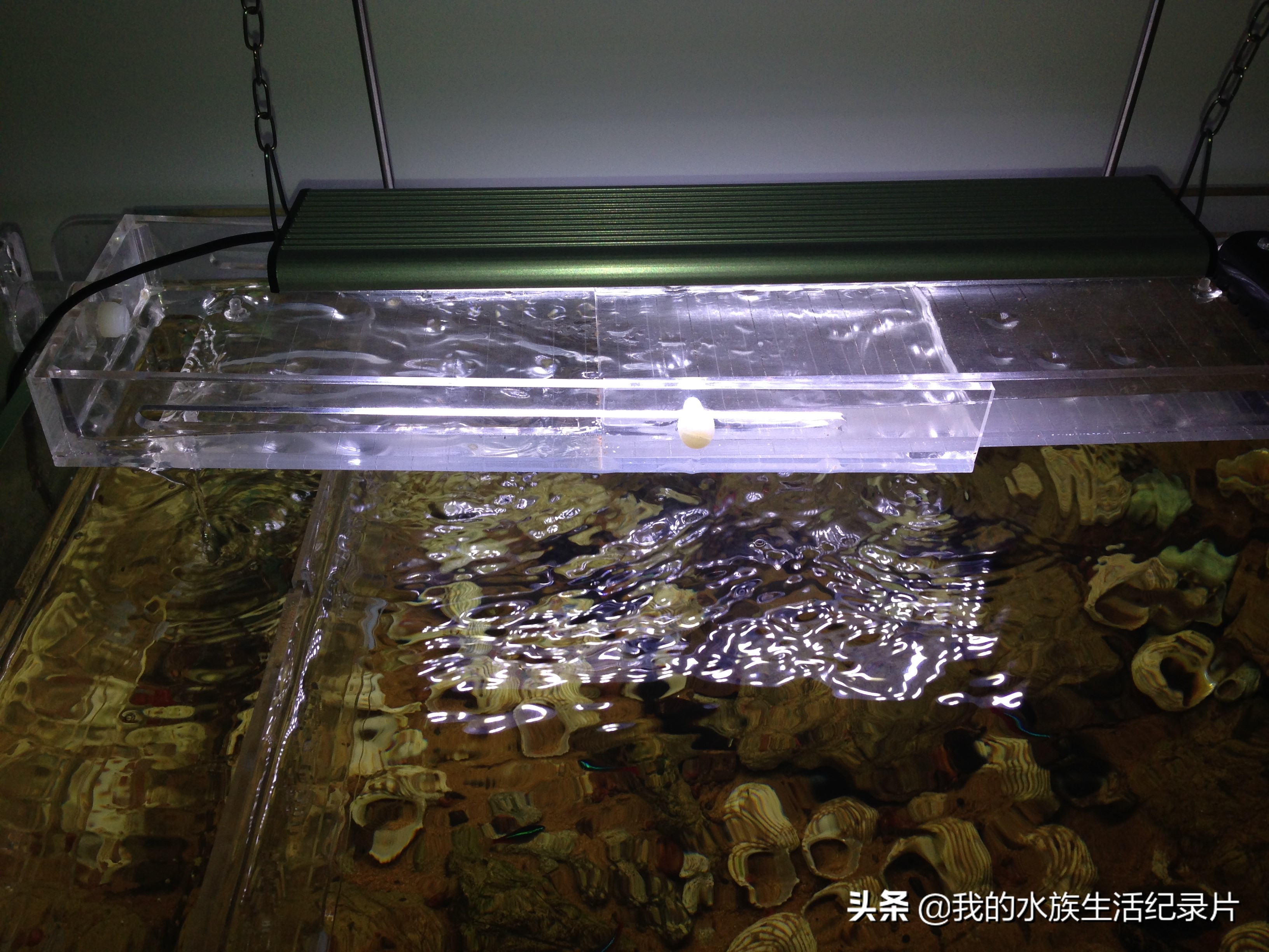 自制亚克力板过滤器,自制鱼缸用玻璃还是亚克力板好