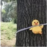 真人真事！为什么我有车有房在荆门却娶不到老婆？