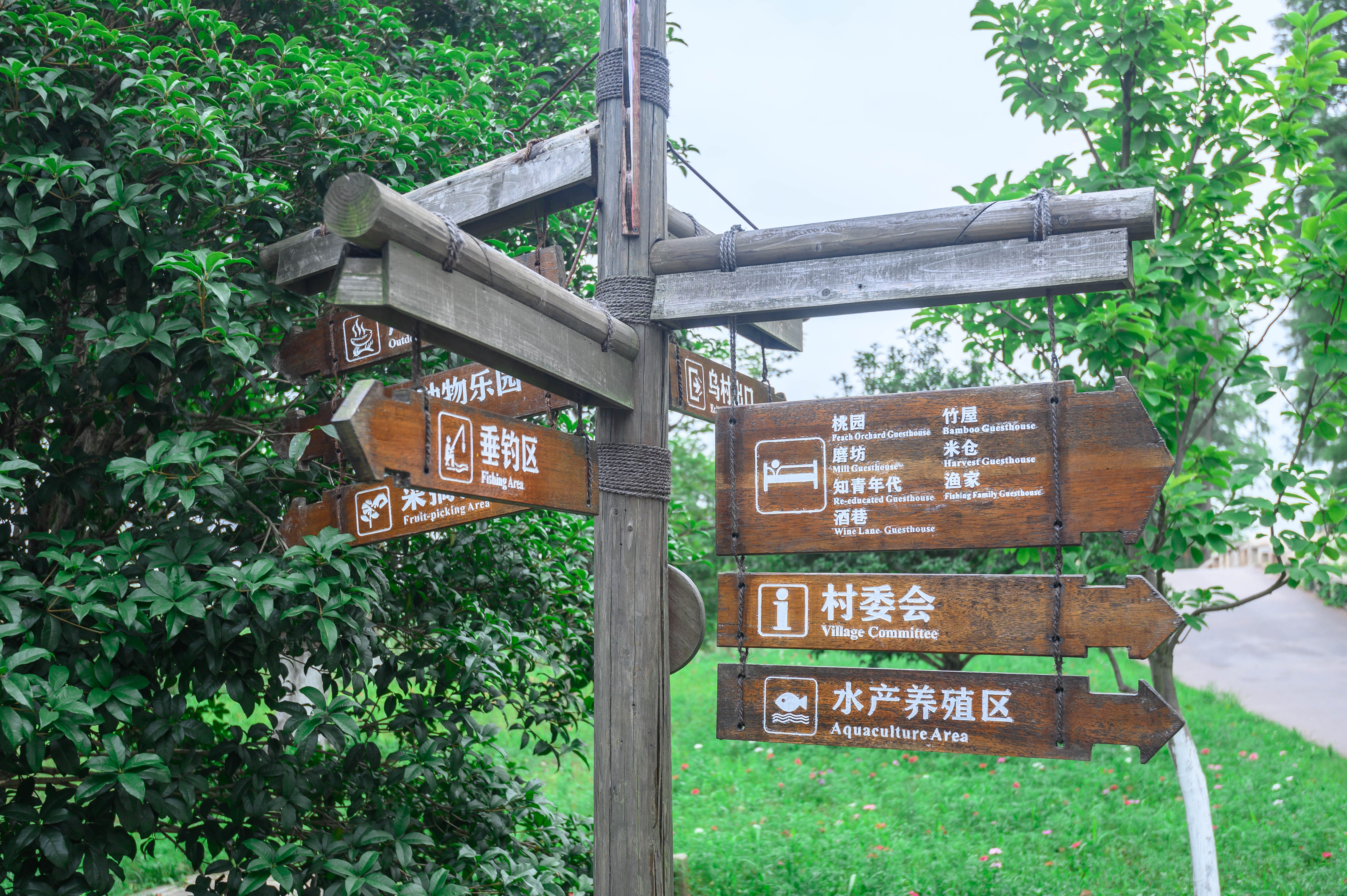 知道乌村吗，孩子来了就不愿离开，住乌村去西栅可以省150元