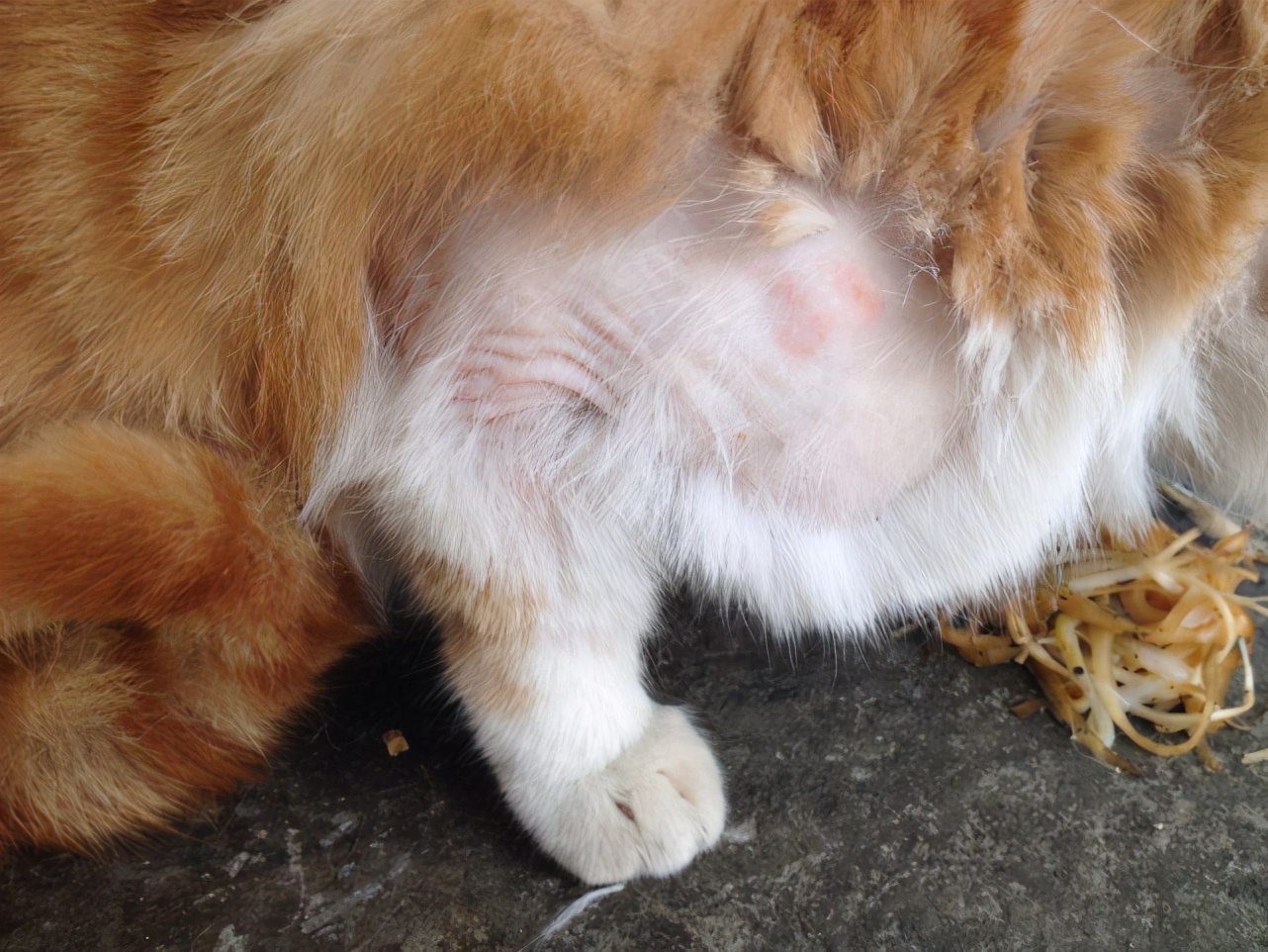 脱发真的无法遏制吗,脱发能拯救吗