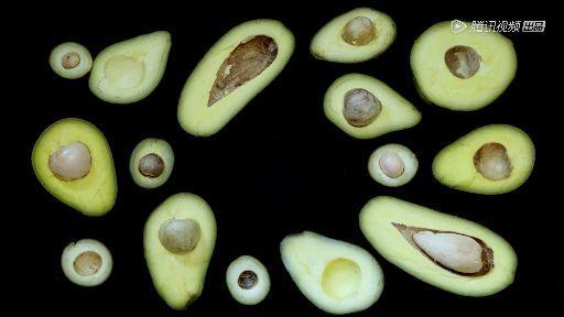 据说水果涨价,跟这剧的大火有点关系