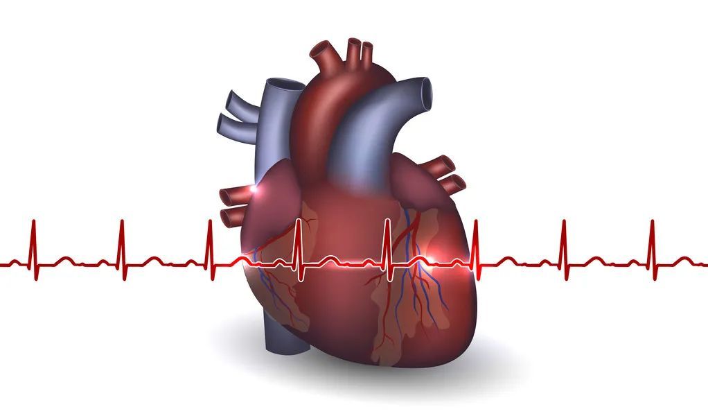 矿物质补充剂和维生素哪个好,补充维生素和矿物质的方法