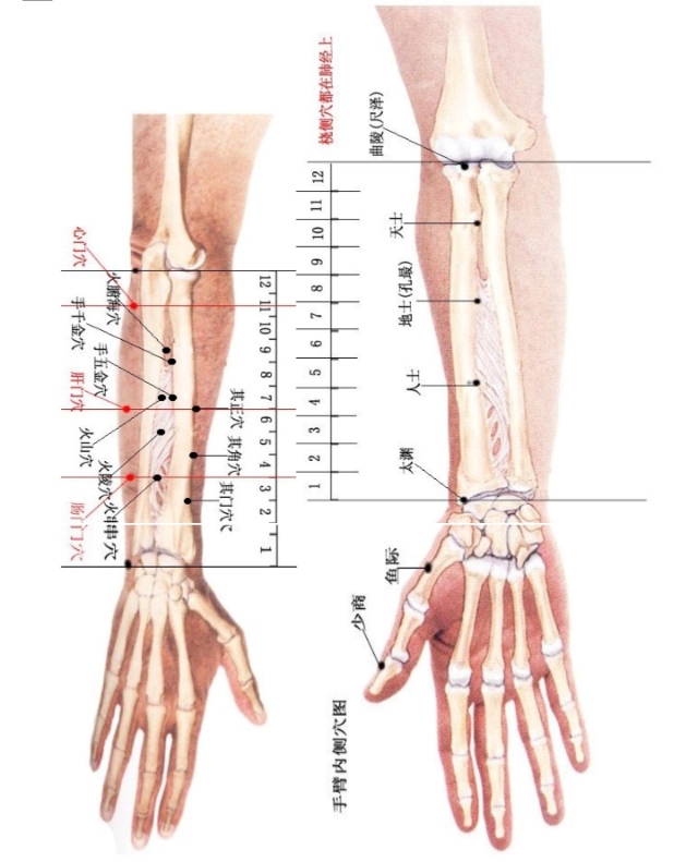 每日一学——学点董穴（1）