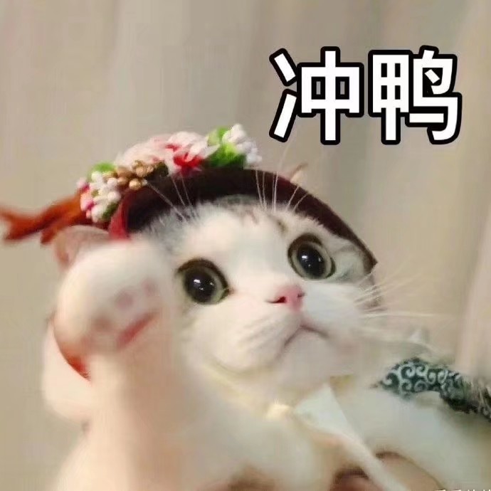 表情包大全可爱简单,可爱表情包我就是个不争气的东西