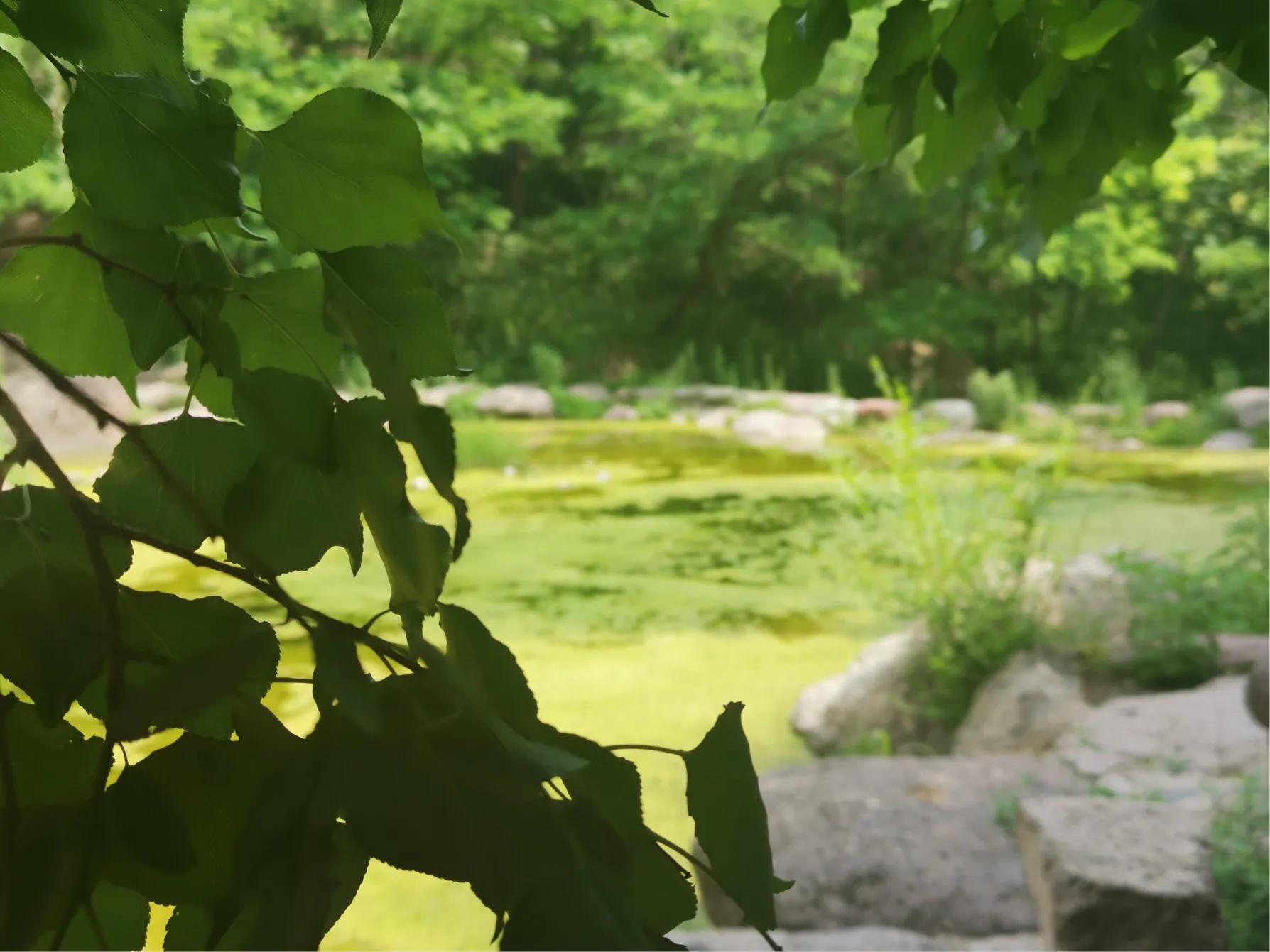 山西自驾游大同出发,山西自驾5天最佳路线图大同出发